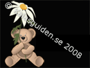 Grattis-bild nalle med blomma Grattis-bild nalle med blomma