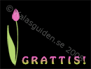 grattis-tulpan grattis-tulpan