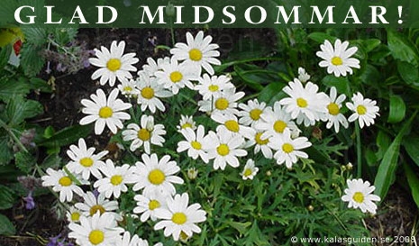 Glad midsommar