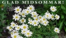 Glad midsommar Glad midsommar