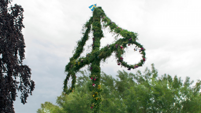 svensk midsommarstång